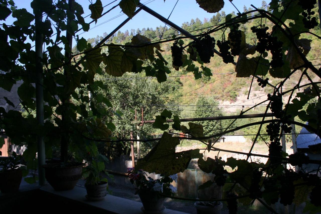 Guest House Nima Bordzjomi Buitenkant foto